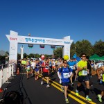 2016 평화통일마라톤대회 썸네일 사진