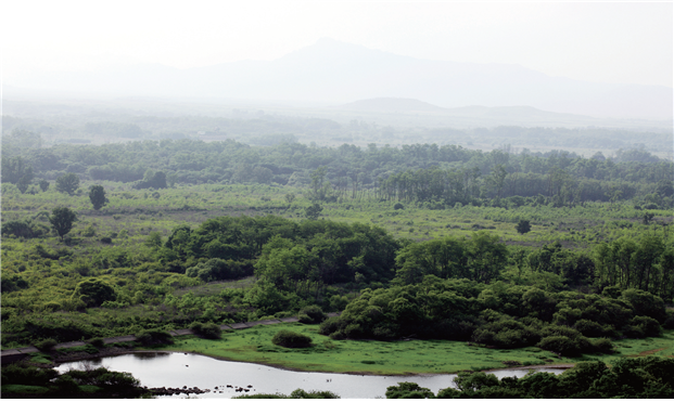 dmz military demarcation line panoramic view