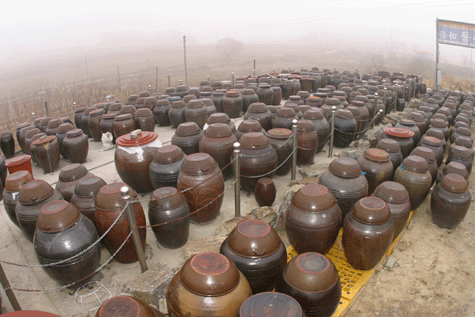 통일촌마을 썸네일 사진