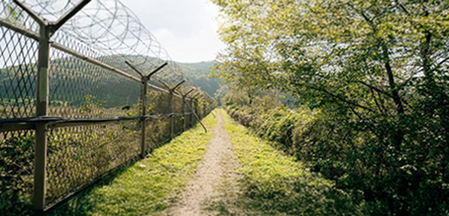 DMZ focus on dmz 전경배너